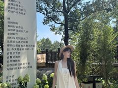 -沂蒙山旅游区云蒙景区(蒙山国家森林公园)