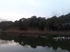 -新江湾城公园