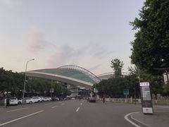 -重庆市奥林匹克体育中心-游泳跳水馆