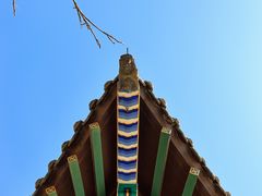 -护国法轮寺