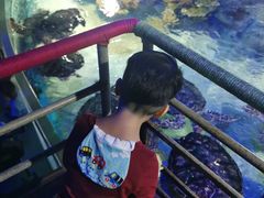 -福州罗源湾海洋世界旅游区