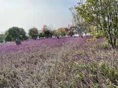 -上海山野camping·户外天幕烧烤·团建拓展营地