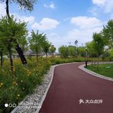 可是远远就看到湖水和其他湖水没什么两样
