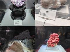 -湖南省地质博物馆