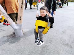 -枫香湖儿童公园