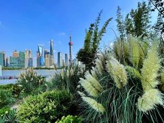 -北外滩滨江绿地