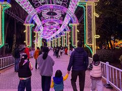 -欢乐海岸椰林沙滩-2025湾区超级灯会