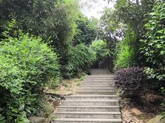 -九龙潭景区
