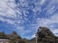 -九龙江国家森林公园