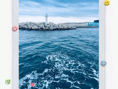 -济州森林小火车生态公园