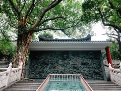 -鼎湖山风景区