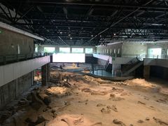 -自贡恐龙博物馆