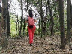 -火炉山森林公园