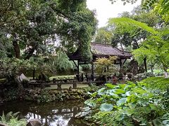 -桂湖森林公园