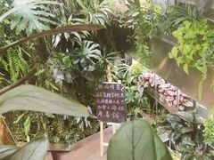 -森味薪火烧•烧鸟居酒屋•日本料理(望京店)