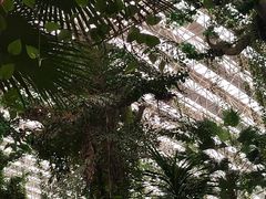 -龙脉温泉室内游泳馆