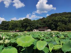 -古田会议纪念馆