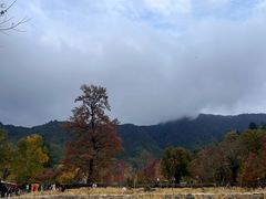-塔川景区