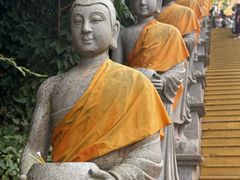 -西双版纳勐泐文化旅游区