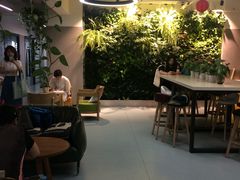 -引领英语·成人口语·雅思托福