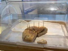 -FINEFOOD凡夫烘焙(MOMOPARK店)