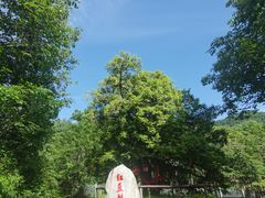 -青峰峡国家森林公园