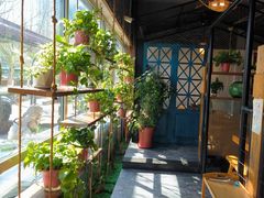 -77号渔船·蒸海鲜青岛菜(积米崖店)