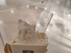 -野人先生现做冰淇淋(北京王府井东方新天地店)