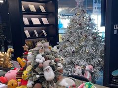 -TOP健身私教工作室(侨香店)
