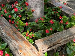 -国家植物园南园