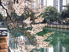 -成都市活水公园