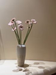 -阿南达·瑜伽普拉提·阿育吠陀疗愈中心