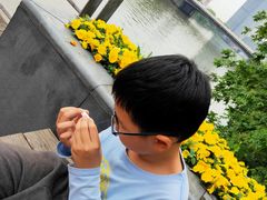 -运河游船(武林门码头)