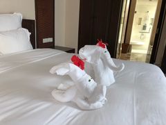 -三亚亚龙湾雅高铂尔曼别墅度假酒店