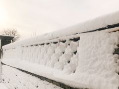 -春风习习