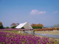 -径山花海