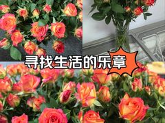 -盒马鲜生(杭州运河上街店)