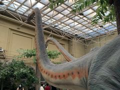 -国家自然博物馆