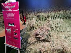 -人民防洪胜利纪念塔