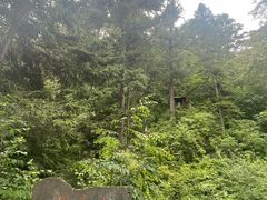 -五营国家森林公园