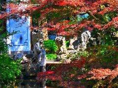 -郭庄景区