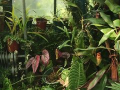 -国家植物园南园