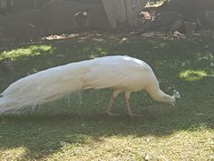 -昆明动物园