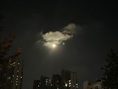 -金泰缘排骨馆(遵化路店)