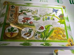 -上海昆虫博物馆