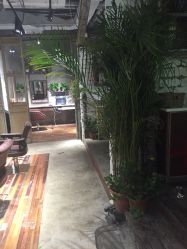 点击看大图 -salon漫
