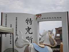 -特克斯八卦城