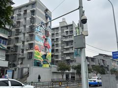 -武汉动物园