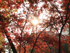 -重庆工商大学(南岸校区)
