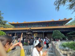 -普陀山风景名胜区-法雨禅寺
